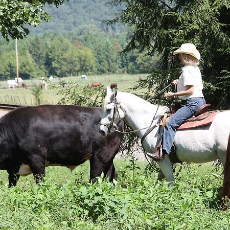 French Broad Outpost Ranch Hotel Del Rio Luaran gambar